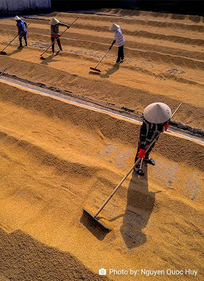 R.M. Briones' Comment on 