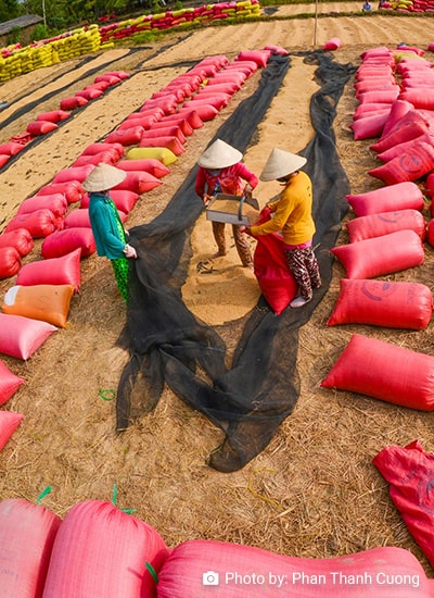 L.C.Y. Wong's Comment on 