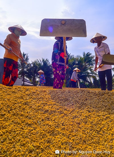 Rejoinder to Comments on 