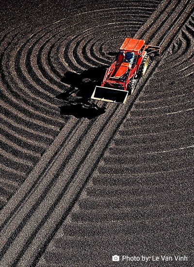 Foreign Direct Investment and Agricultural Growth: Panel Data Evidence on Chinese FDI Inflows in African Countries