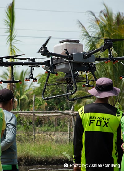 Determinants of Farmers' Understanding of Digital Transformation in Agriculture: Evidence from the Red River Delta, Vietnam